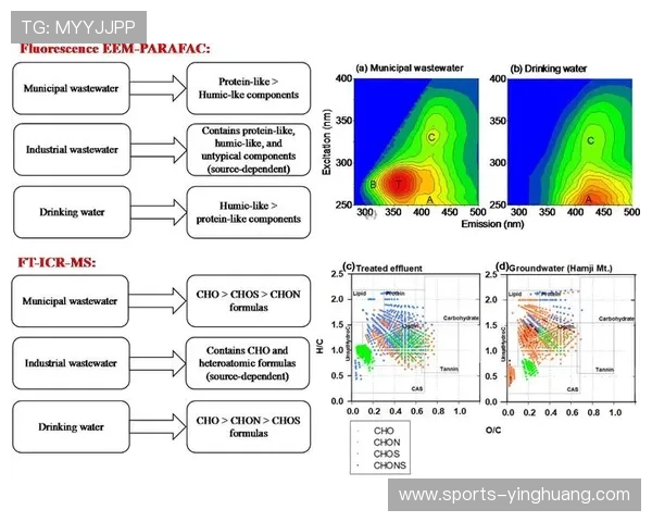 hkjc集团娱乐平台的技术支持与安全保障措施全面分析与用户指南